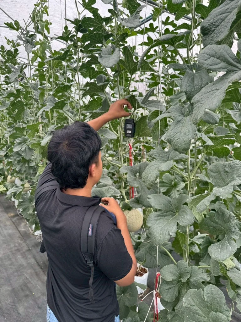 Numlet’s Agronomist Data Gathering & Setup